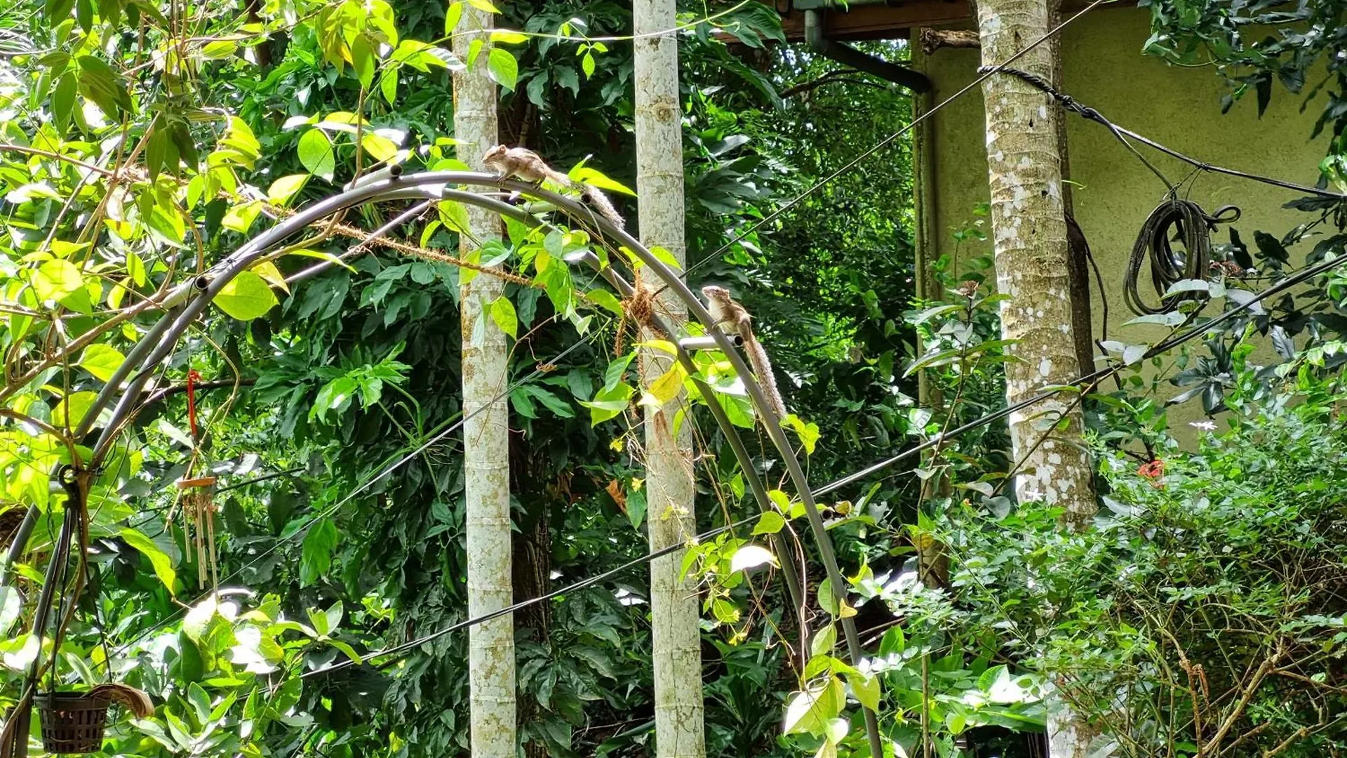 Squirrel'S Nest Hotel Kandy 0*,  Sri Lanka