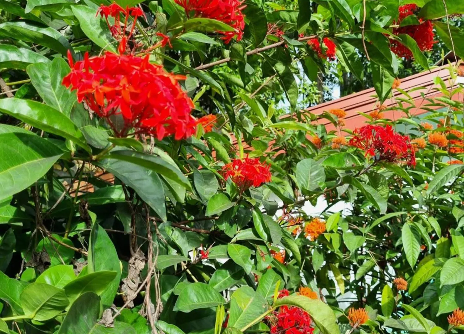 Squirrel'S Nest Hotel Kandy Inn