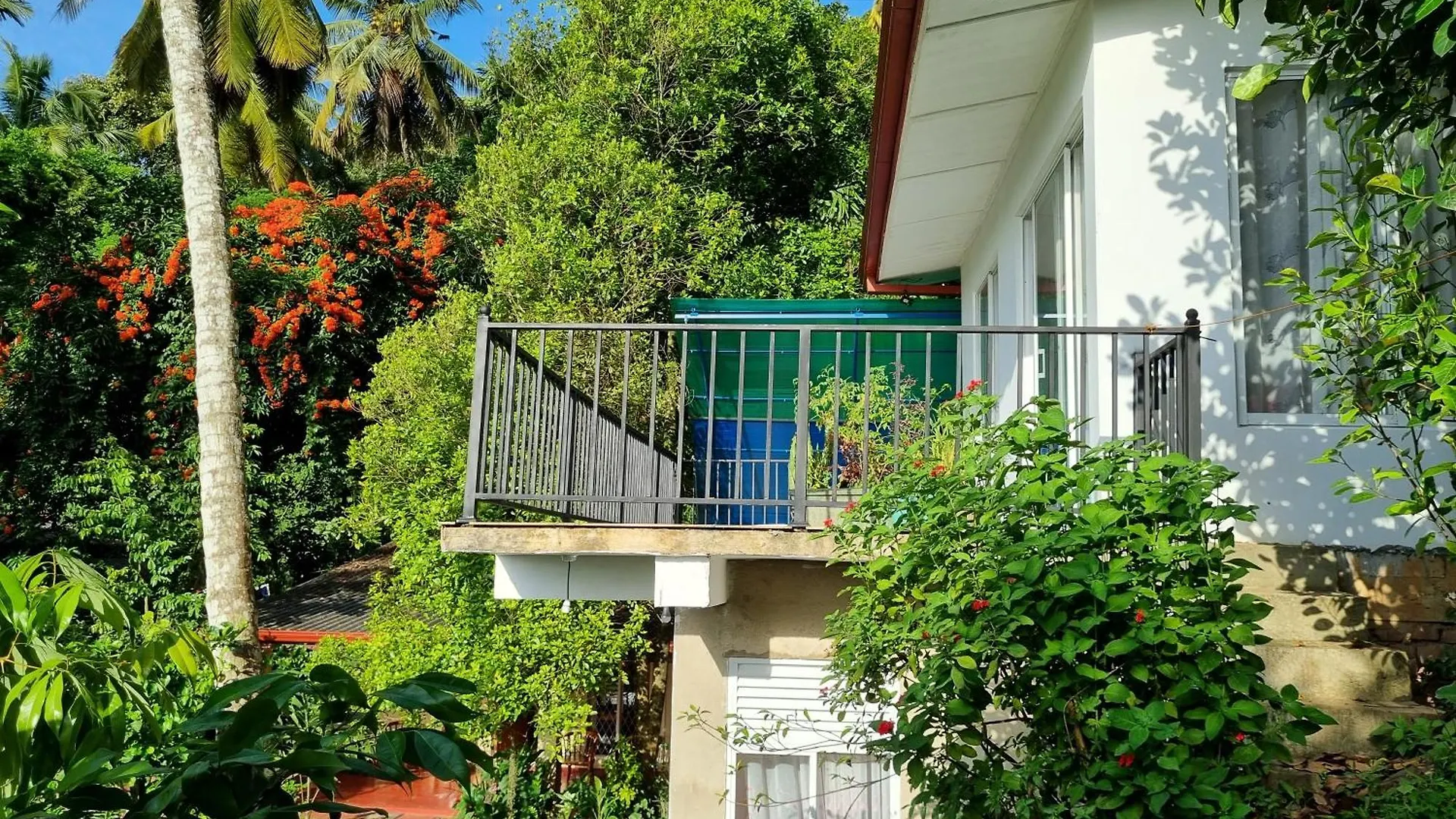 Squirrel'S Nest Hotel Kandy